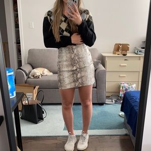 Dynamite Faux Snake leather Skirt